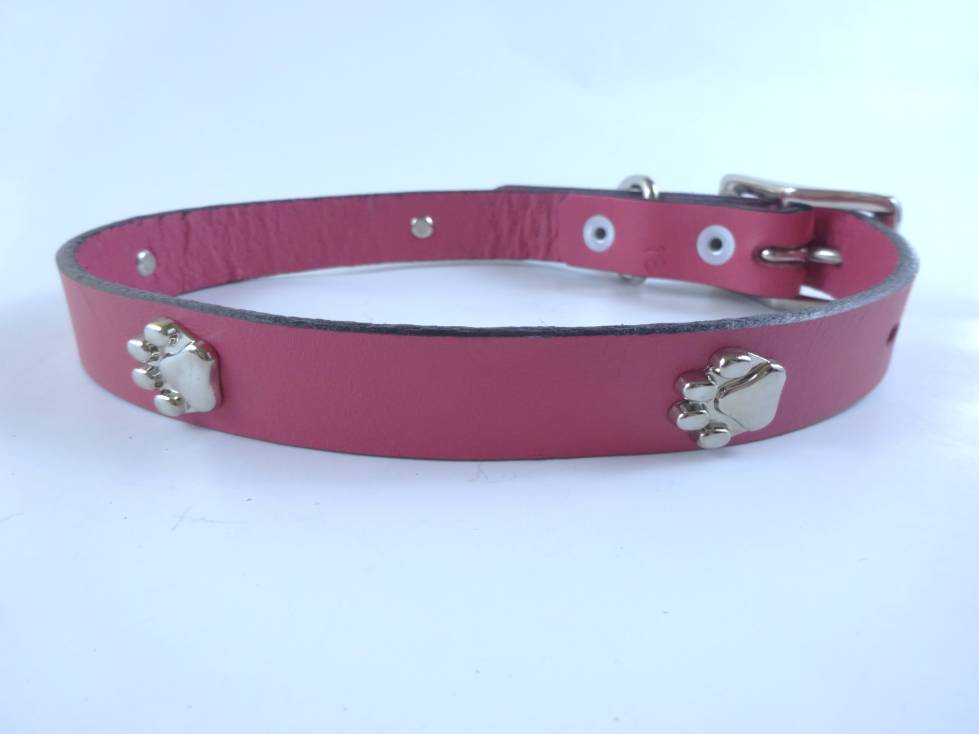 Collar con Aplicación Metálica Huella para Perro de Piel, 2cm de ancho