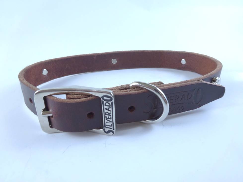 Collar con Aplicación Metálica Huella para Perro de Piel, 2cm de ancho