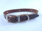 Collar con Aplicación Metálica Huella para Perro de Piel, 2cm de ancho