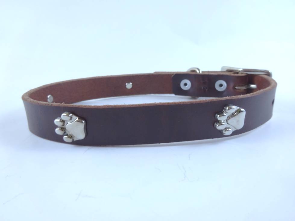 Collar con Aplicación Metálica Huella para Perro de Piel, 2cm de ancho