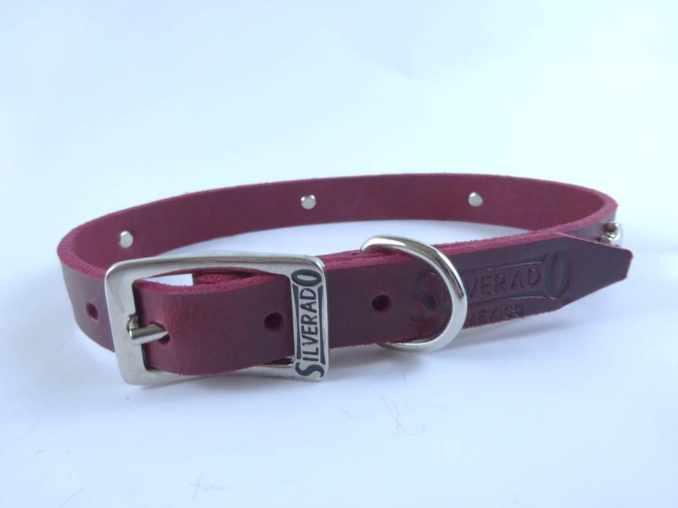 Collar con Aplicación Metálica Huella para Perro de Piel, 2cm de ancho
