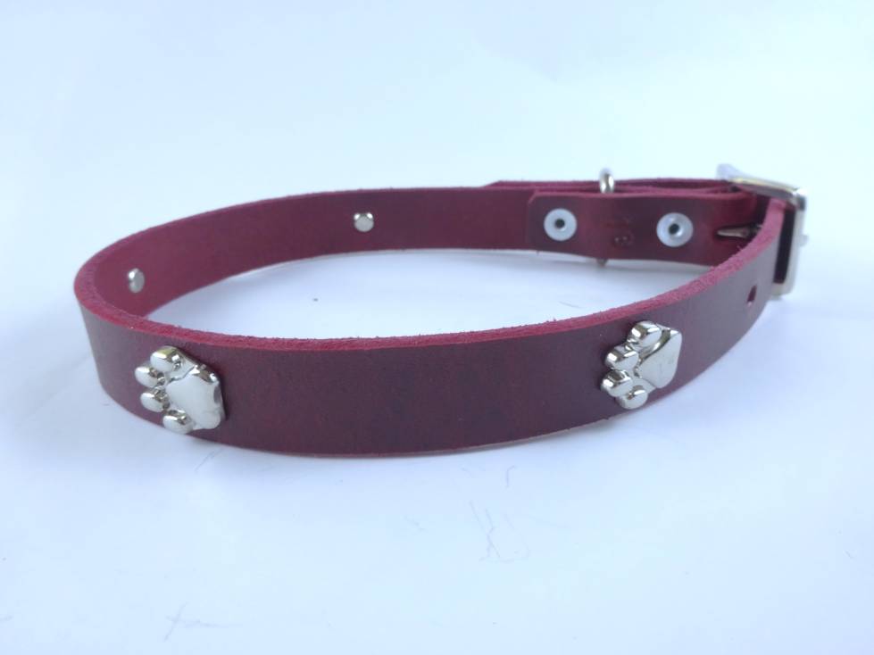 Collar con Aplicación Metálica Huella para Perro de Piel, 2cm de ancho