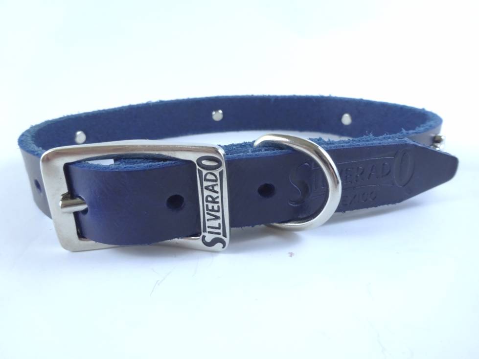 Collar con Aplicación Metálica Huella para Perro de Piel, 2cm de ancho