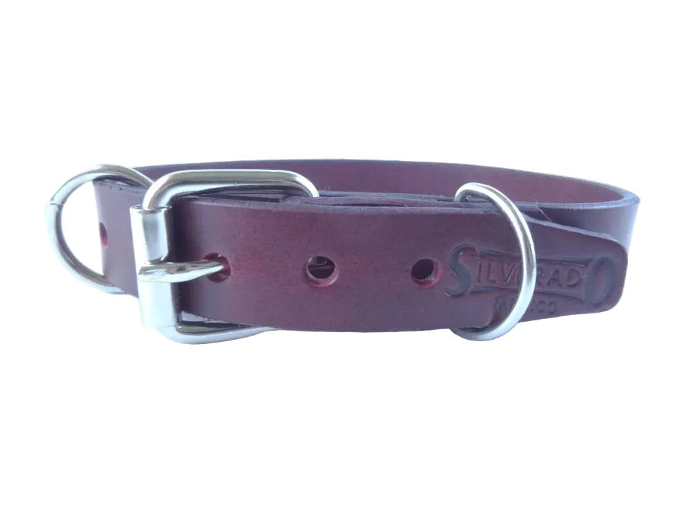 Collar de Agitación para Perro de Piel, 3cm de ancho