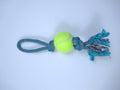Pelota de Tenis con Soga Chica