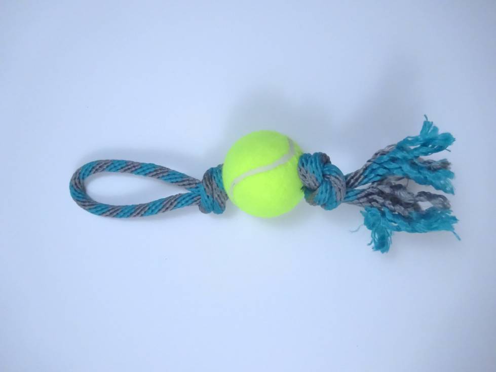 Pelota de Tenis con Soga Chica