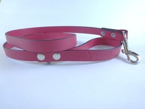 Correa Cocker para Perro de Piel, 2cm × 1.20m