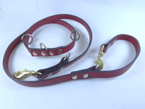 Correa K9 Policía para Perro de Piel, 2cm × 2m
