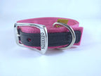 Collar para Perro de Nylon con Piel, 2.5cm de ancho
