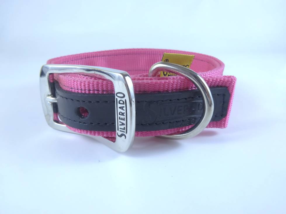 Collar para Perro de Nylon con Piel, 2.5cm de ancho