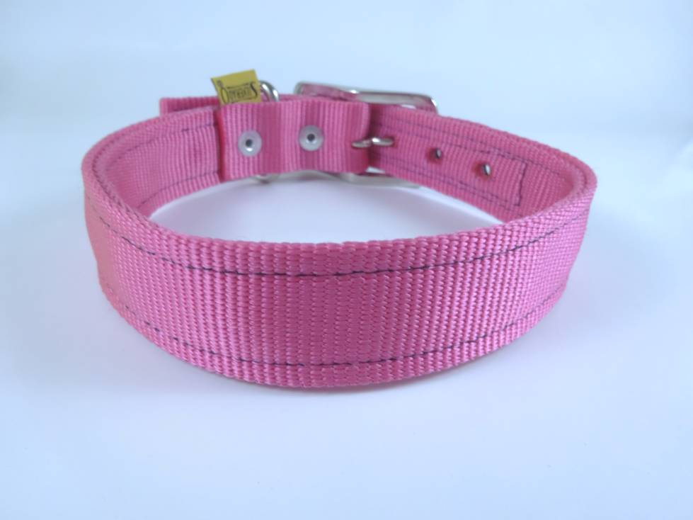 Collar para Perro de Nylon con Piel, 2.5cm de ancho