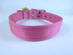 Collar nylon con piel 2.5cm