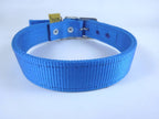Collar para Perro de Nylon con Piel, 2.5cm de ancho