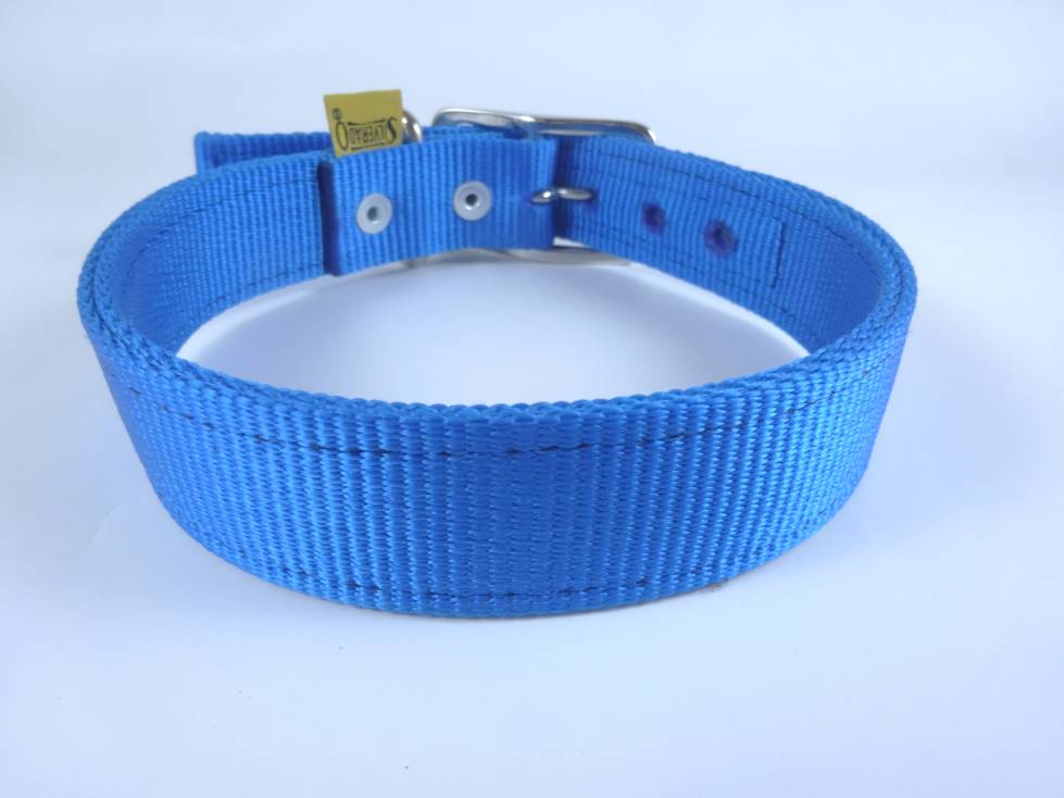 Collar para Perro de Nylon con Piel, 2.5cm de ancho