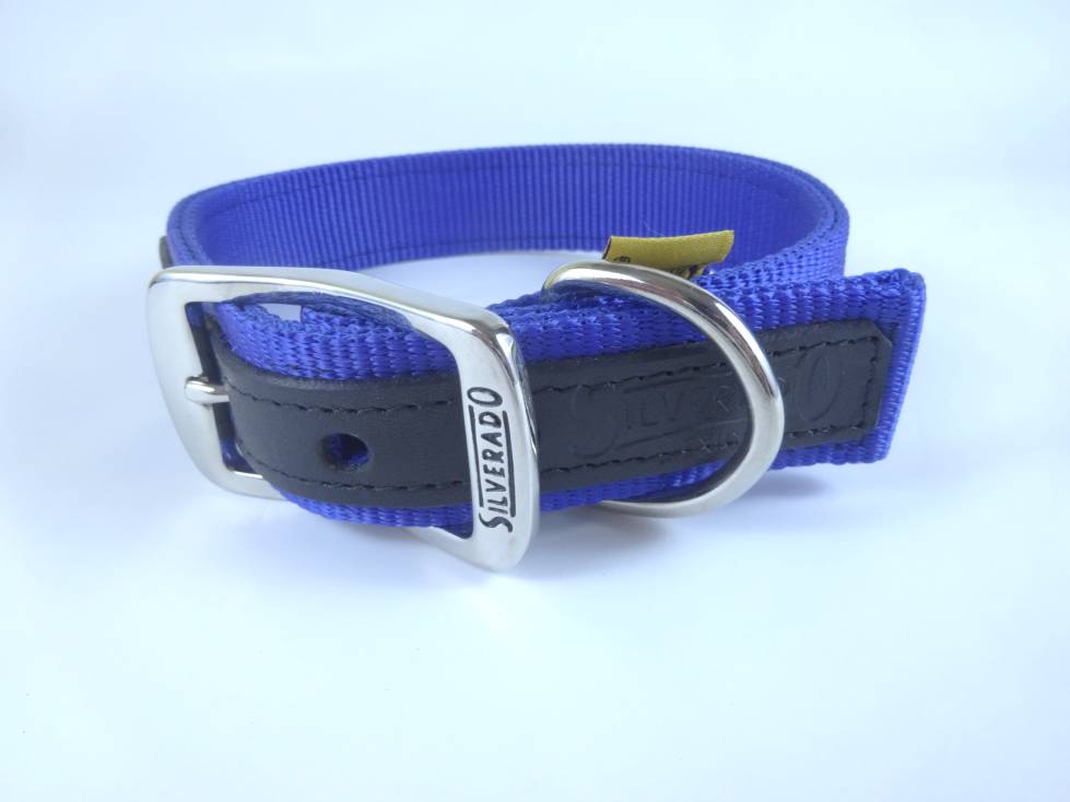 Collar para Perro de Nylon con Piel, 2.5cm de ancho