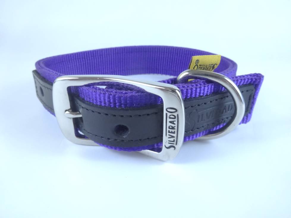 Collar para Perro de Nylon con Piel, 2.5cm de ancho