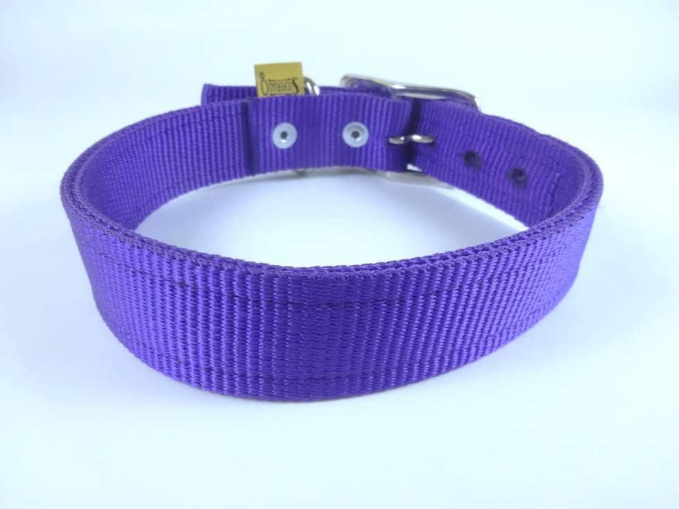 Collar para Perro de Nylon con Piel, 2.5cm de ancho