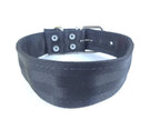 Collar para Perro de Nylon con Piel, 5cm de ancho