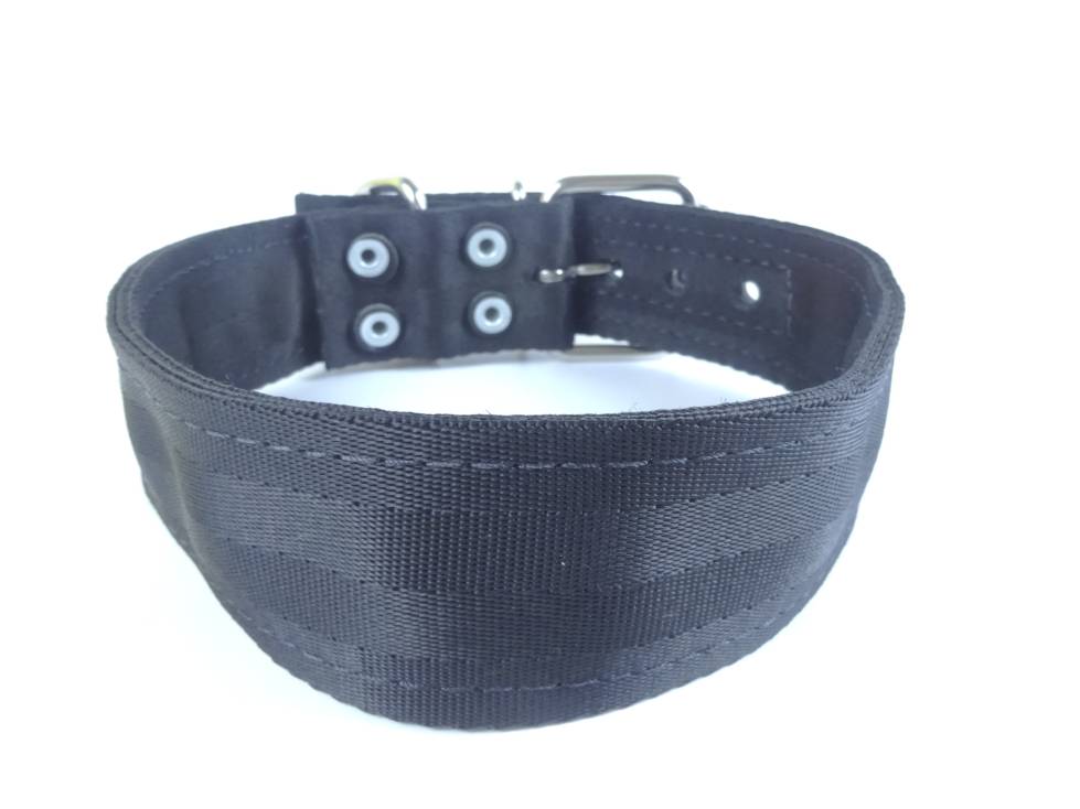 Collar para Perro de Nylon con Piel, 5cm de ancho