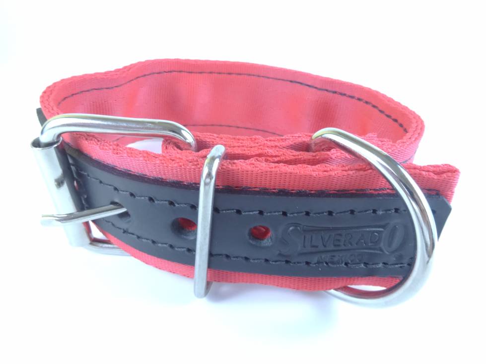 Collar para Perro de Nylon con Piel, 5cm de ancho