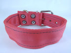 Collar para Perro de Nylon con Piel, 5cm de ancho