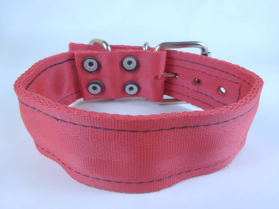 Collar para Perro de Nylon con Piel, 5cm de ancho