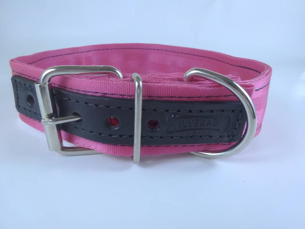 Collar para Perro de Nylon con Piel, 5cm de ancho