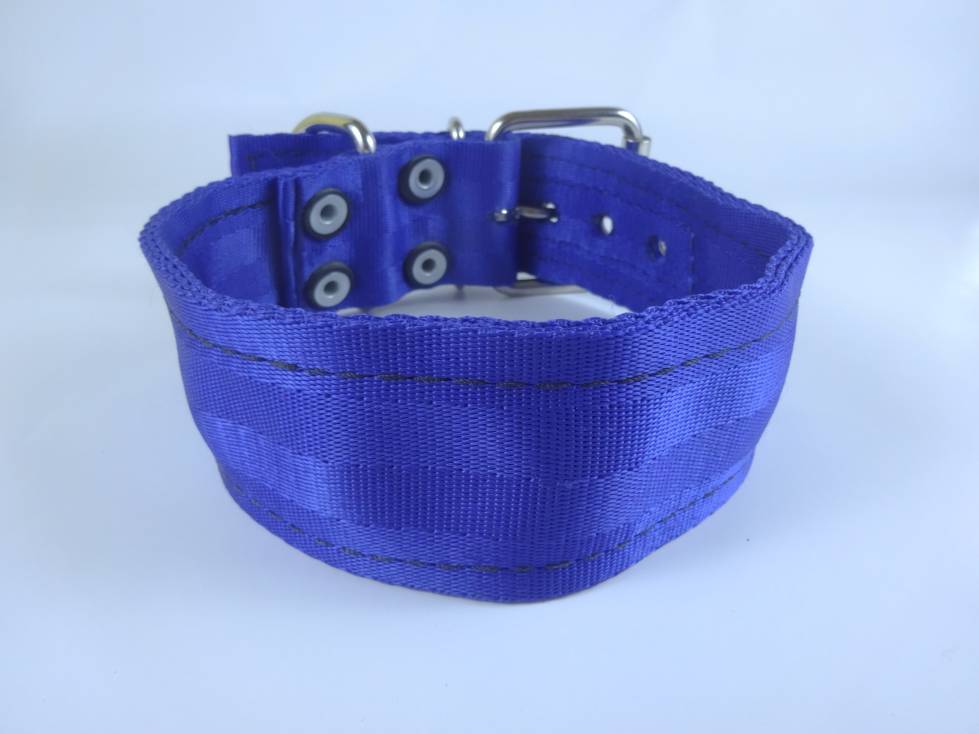 Collar para Perro de Nylon con Piel, 5cm de ancho