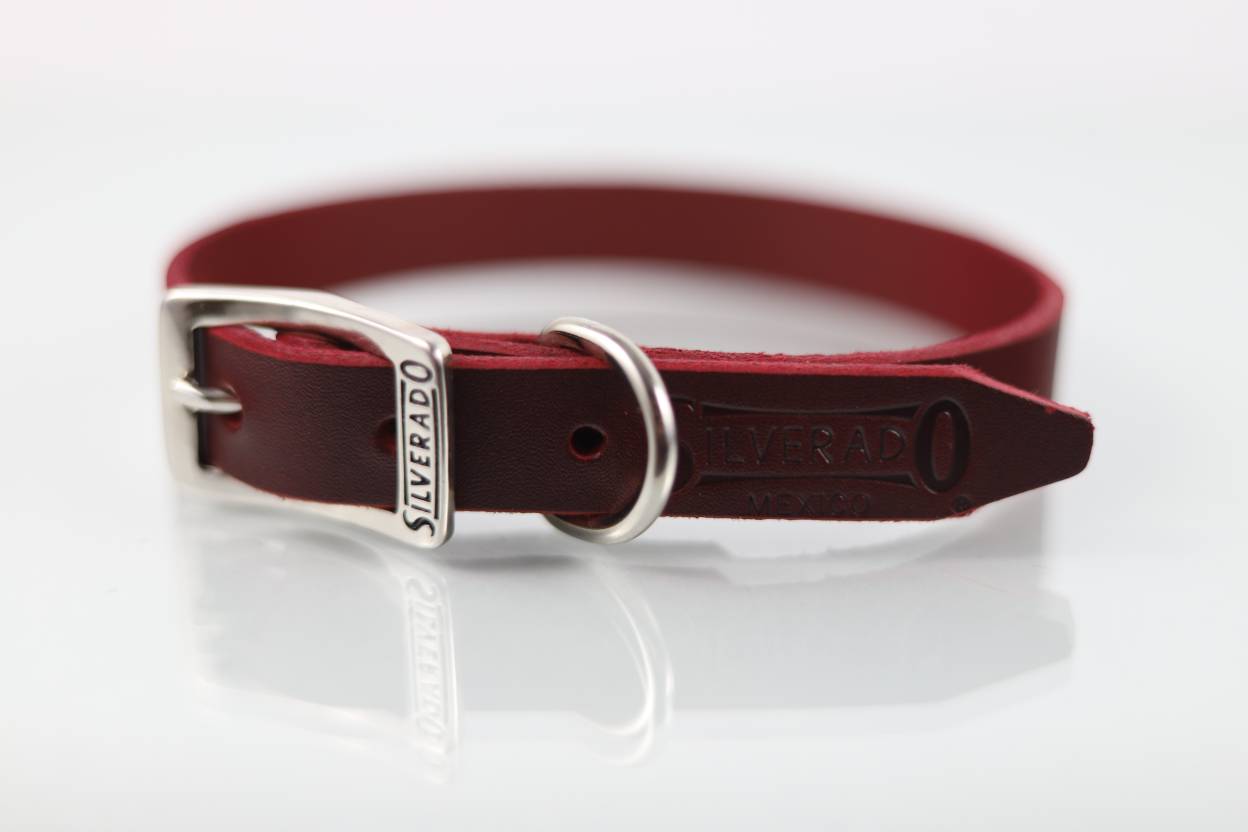 Collar Liso para Perro de Piel, 2cm de ancho