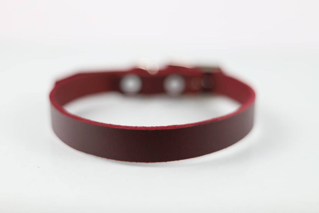 Collar Liso para Perro de Piel, 2cm de ancho