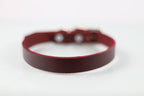 Collar Liso para Perro de Piel, 2cm de ancho