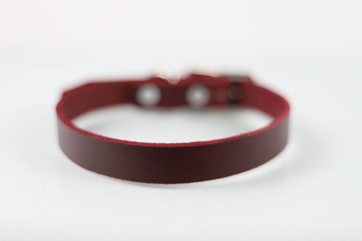 Collar Liso para Perro de Piel, 2cm de ancho