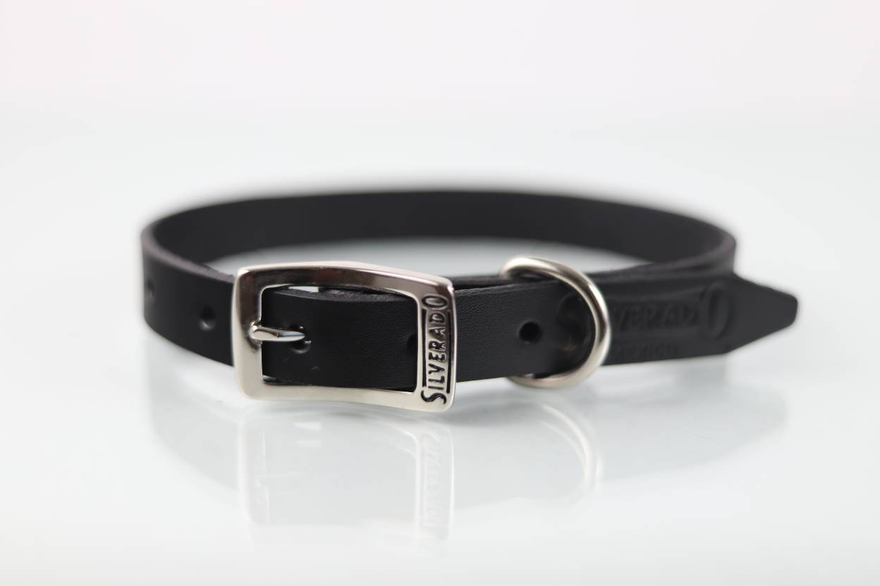 Collar Liso para Perro de Piel, 2cm de ancho