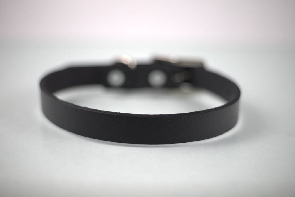 Collar Liso para Perro de Piel, 2cm de ancho