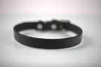 Collar Liso para Perro de Piel, 2cm de ancho