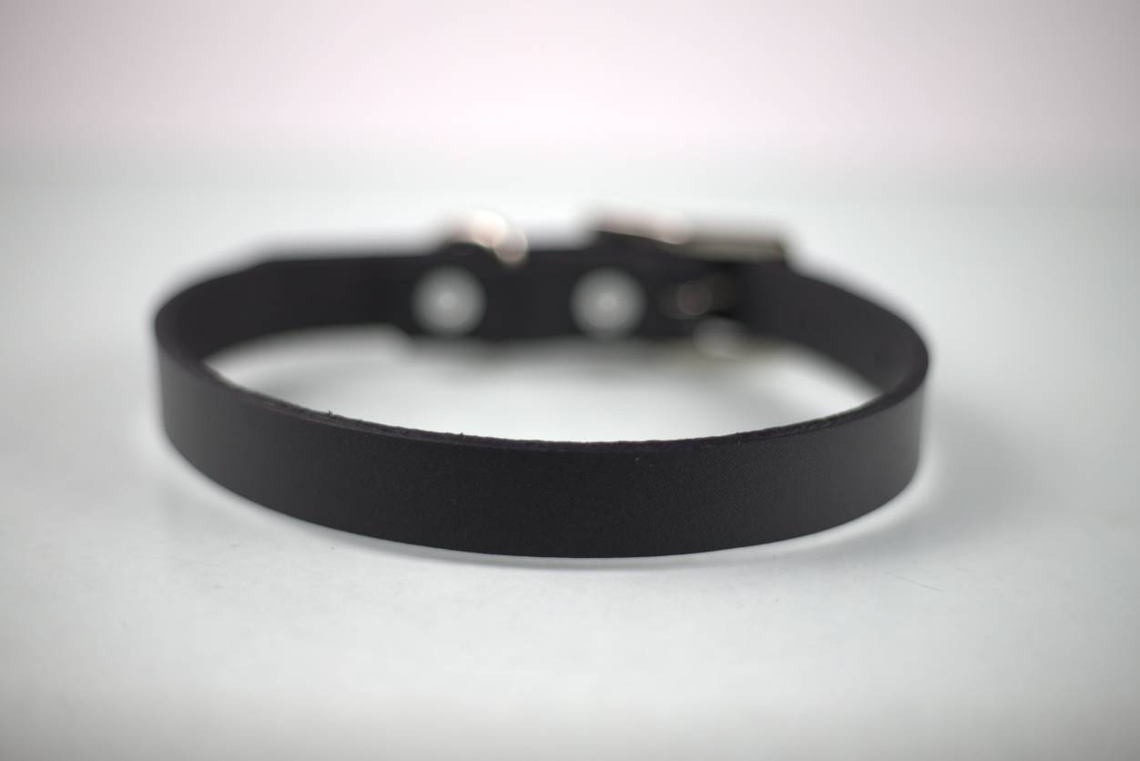 Collar Liso para Perro de Piel, 2cm de ancho