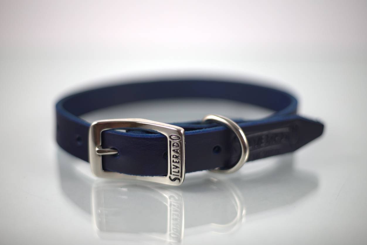 Collar Liso para Perro de Piel, 2cm de ancho