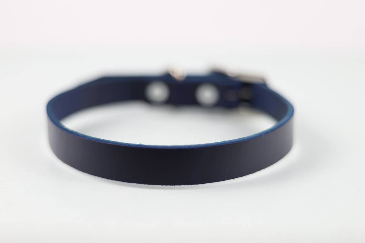 Collar Liso para Perro de Piel, 2cm de ancho