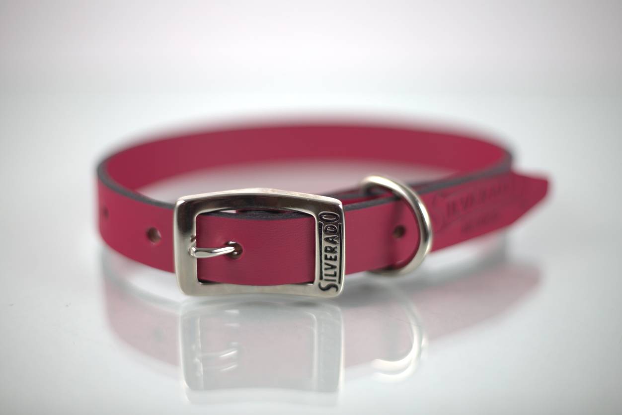 Collar Liso para Perro de Piel, 2cm de ancho