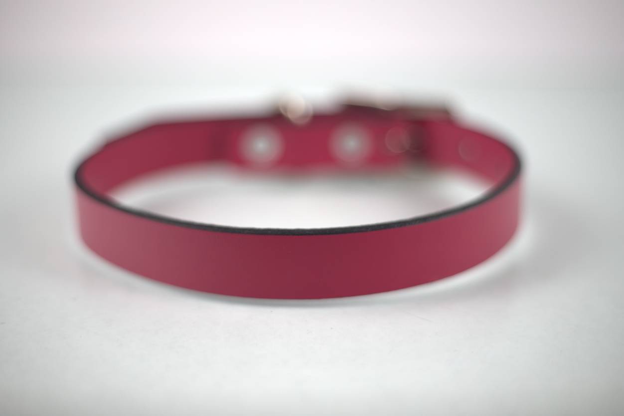 Collar Liso para Perro de Piel, 2cm de ancho