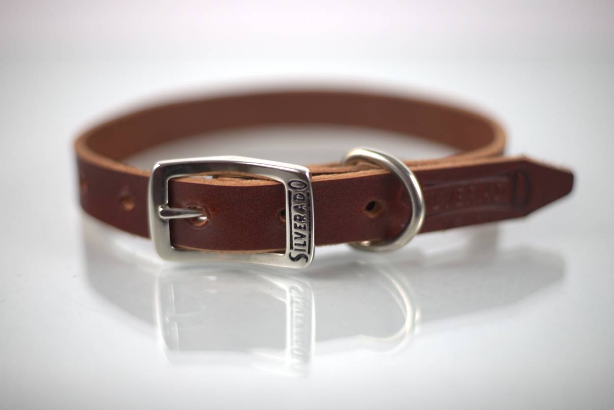 Collar Liso para Perro de Piel, 2cm de ancho