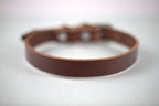 Collar Liso para Perro de Piel, 2cm de ancho