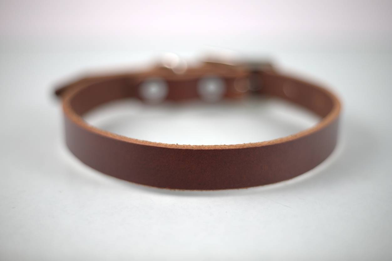 Collar Liso para Perro de Piel, 2cm de ancho