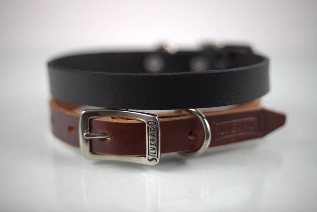Collar Liso para Perro de Piel, 2cm de ancho