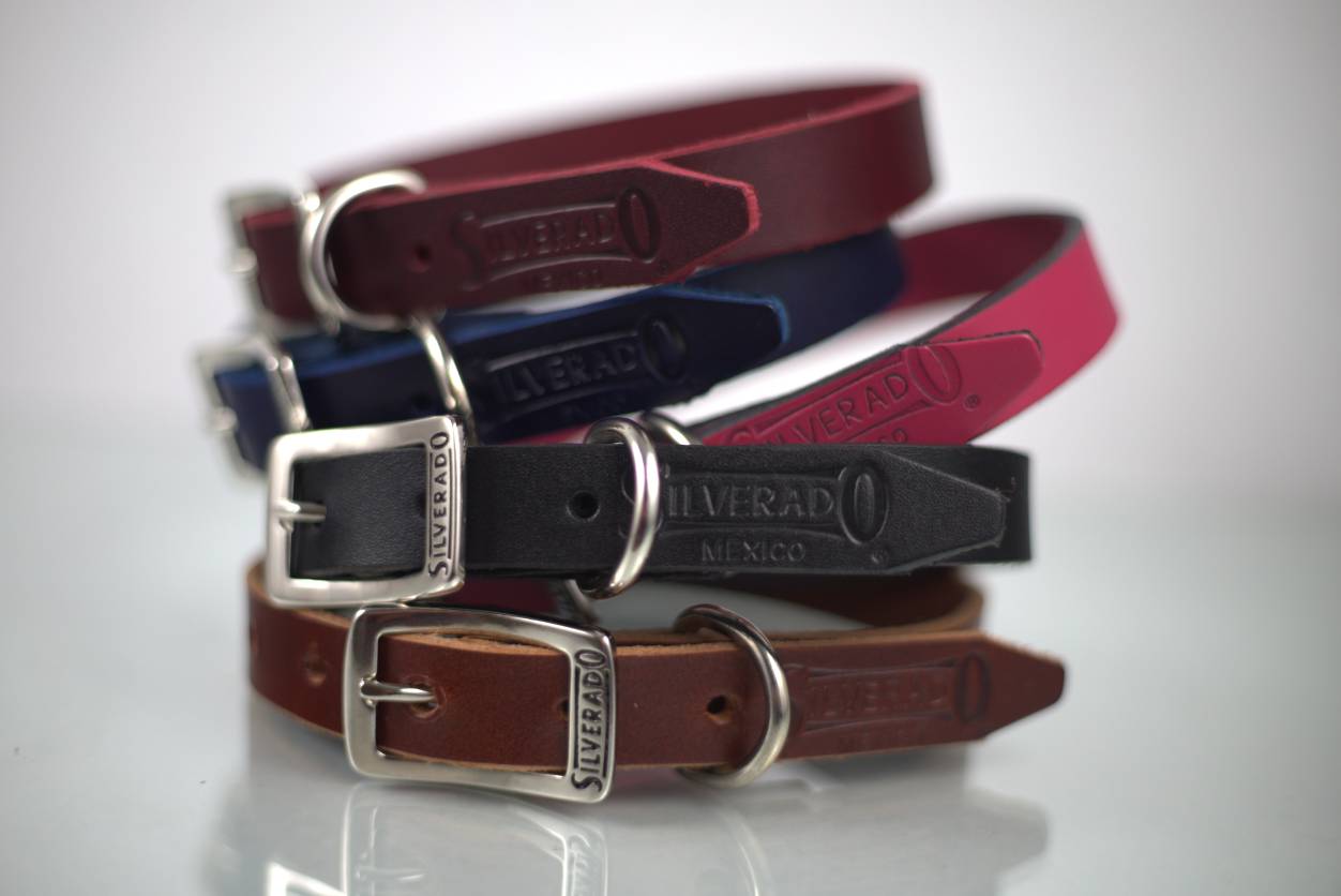 Collar Liso para Perro de Piel, 2cm de ancho