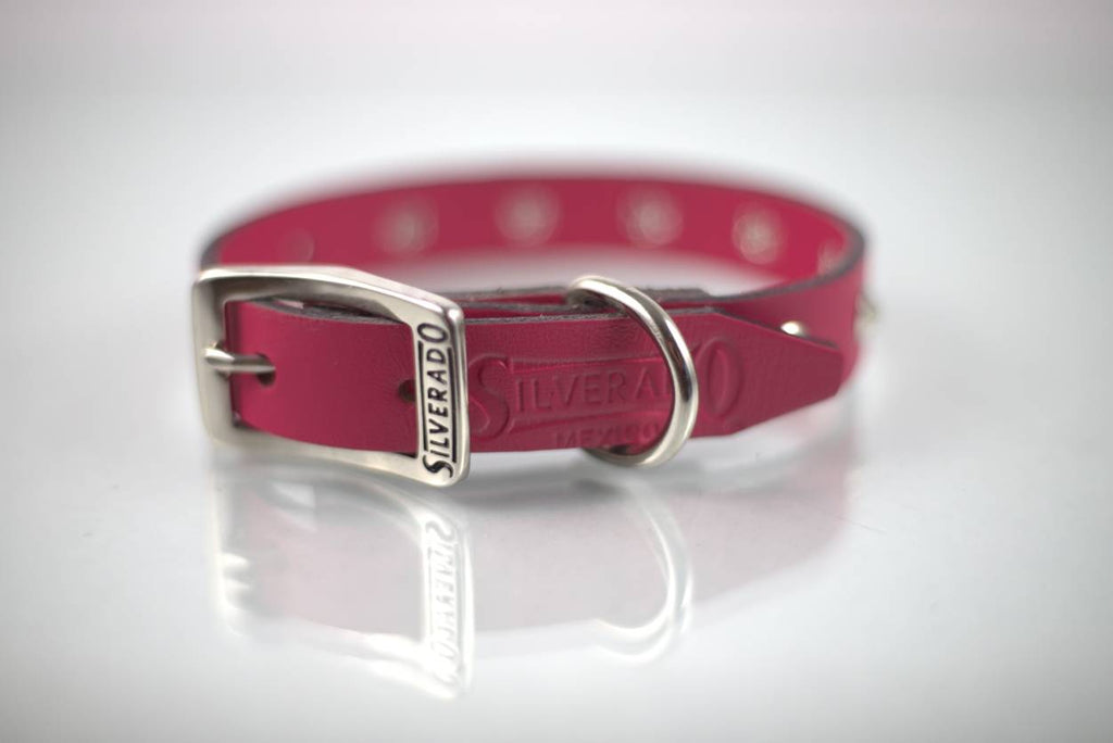 Collar con Estoperol para Perro de Piel, 2cm de ancho