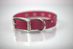 Collar con Estoperol para Perro de Piel, 2cm de ancho