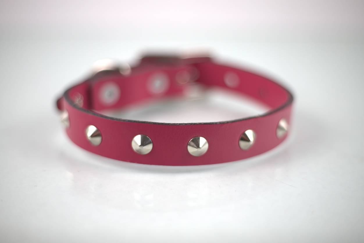 Collar con Estoperol para Perro de Piel, 3cm de ancho