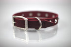 Collar con Estoperol para Perro de Piel, 3cm de ancho