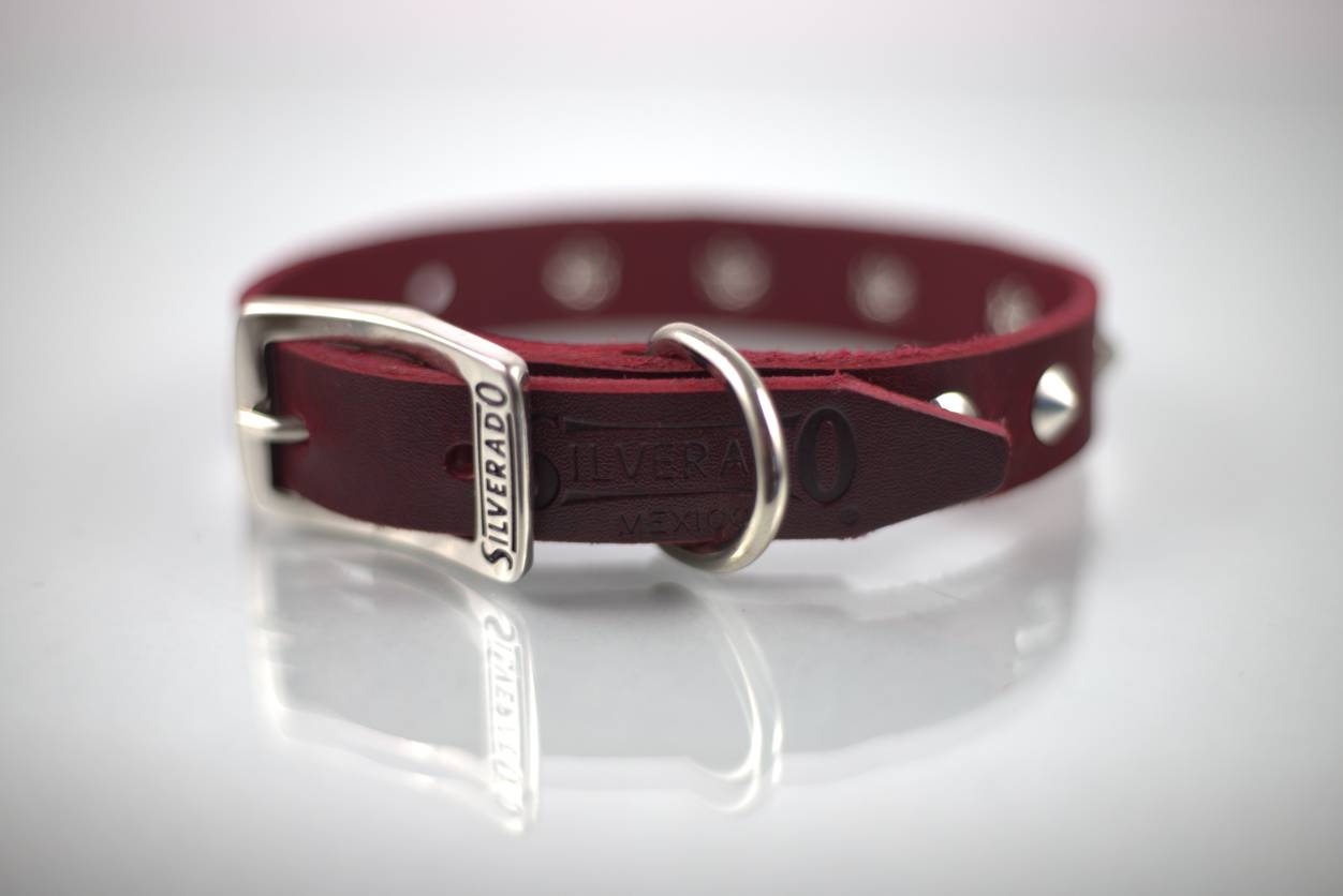 Collar con Estoperol para Perro de Piel, 3cm de ancho